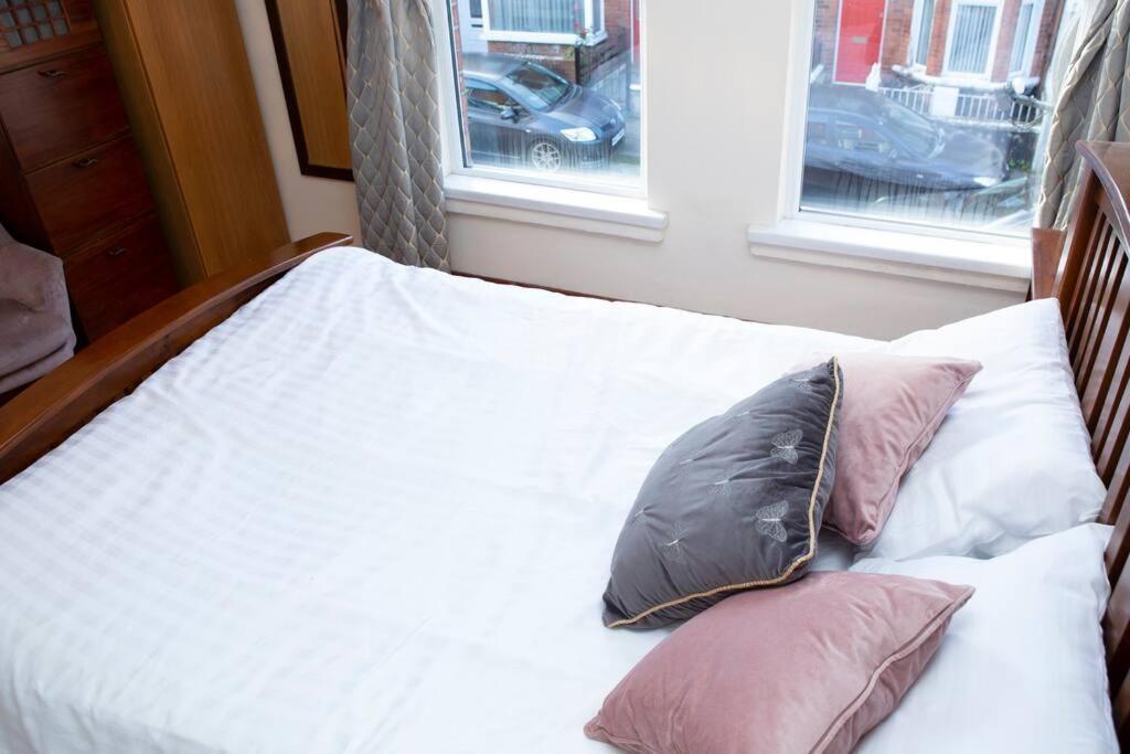 Cheerful 2 Bedroom House In The Heart Of 贝尔法斯特 外观 照片